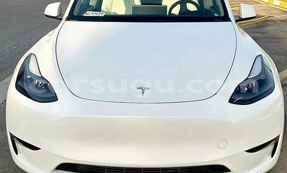 Acheter Occasion Voiture Tesla Model X Blanc à Ouagadougou, Burkina-Faso