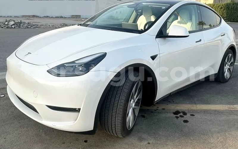 Big with watermark tesla model x burkina faso ouagadougou 12058