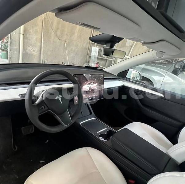 Big with watermark tesla model x burkina faso ouagadougou 12058