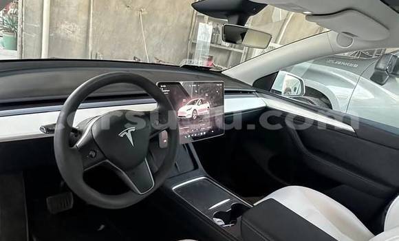 Acheter Occasion Voiture Tesla Model X Blanc à Ouagadougou, Burkina-Faso Acheter Occasion Voiture Tesla Model X Blanc à Ouagadougou, Burkina-Faso