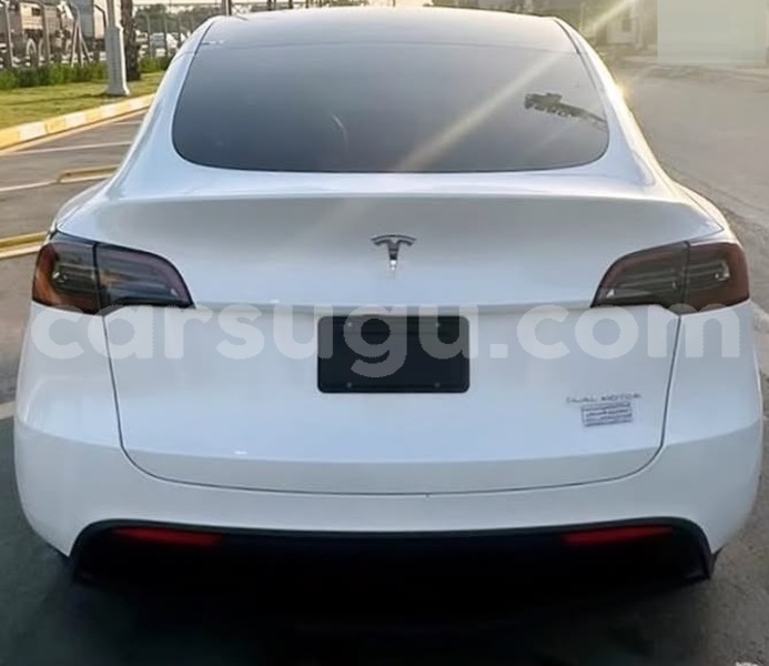 Big with watermark tesla model x burkina faso ouagadougou 12058