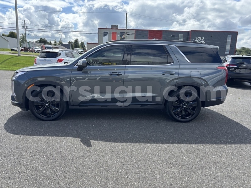 Big with watermark hyundai santa fe burkina faso ouagadougou 12098