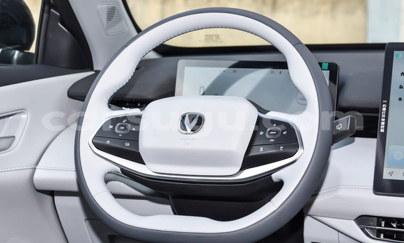 Buy New Changan Raeton White Car in Tougan in Sourou Buy New Changan Raeton White Car in Tougan in Sourou