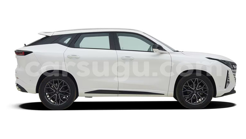Big with watermark changan raeton sourou tougan 12135