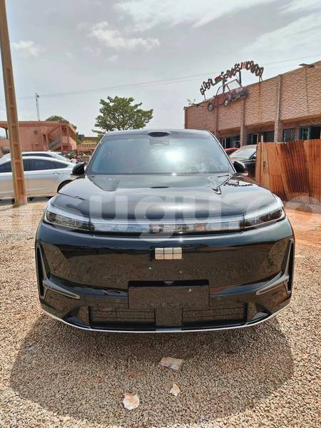 Big with watermark geely beauty leopard burkina faso ouagadougou 12154