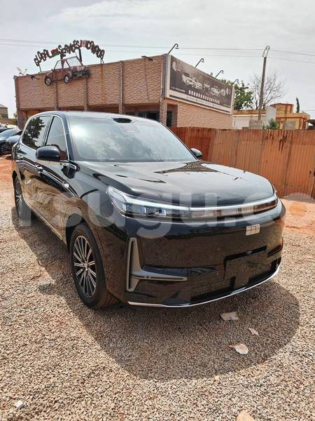 Big with watermark geely beauty leopard burkina faso ouagadougou 12154