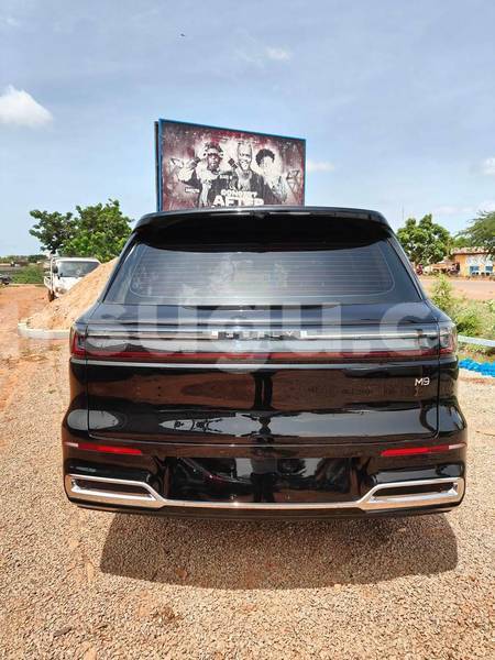 Big with watermark geely beauty leopard burkina faso ouagadougou 12154