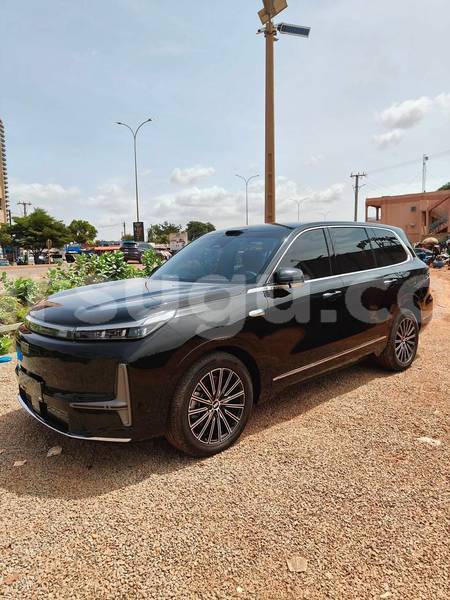 Big with watermark geely beauty leopard burkina faso ouagadougou 12154