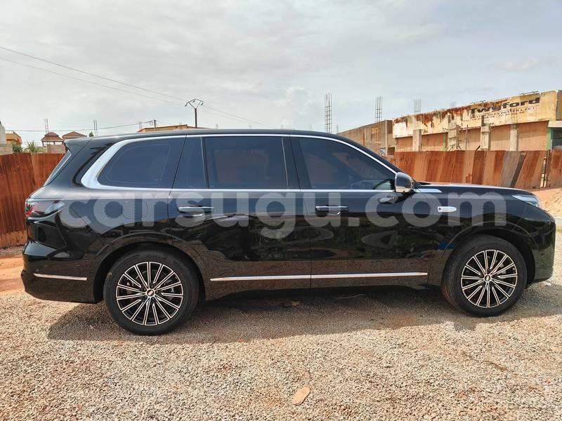 Big with watermark geely beauty leopard burkina faso ouagadougou 12154