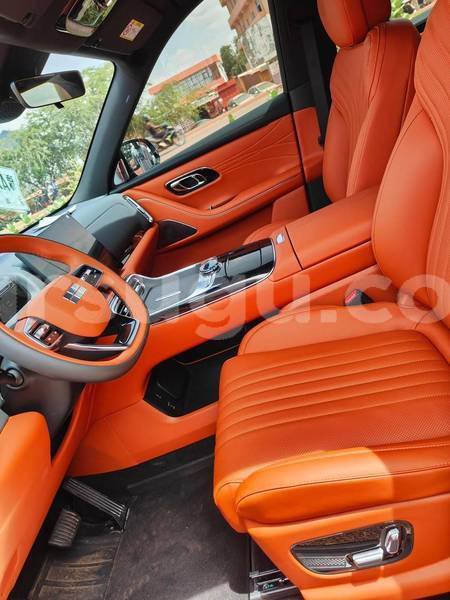 Big with watermark geely beauty leopard burkina faso ouagadougou 12154