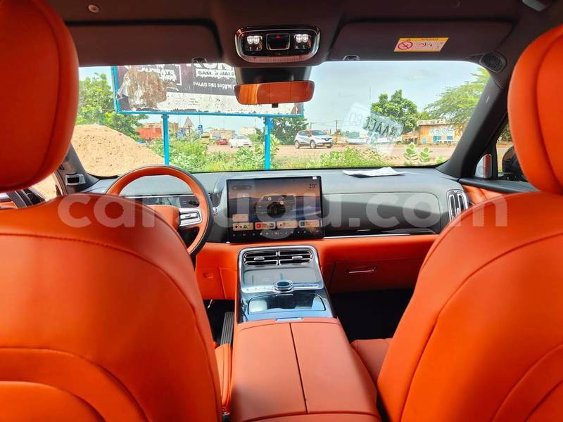 Big with watermark geely beauty leopard burkina faso ouagadougou 12154