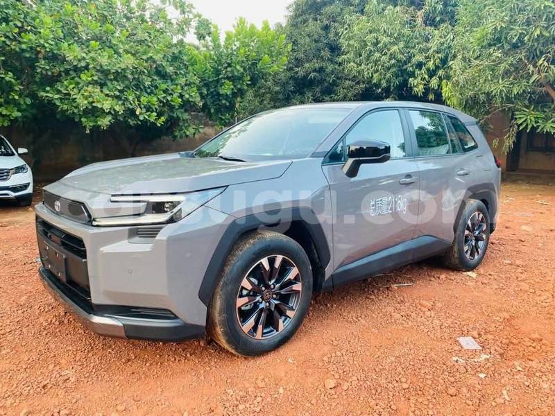 Big with watermark toyota rav4 burkina faso ouagadougou 12180