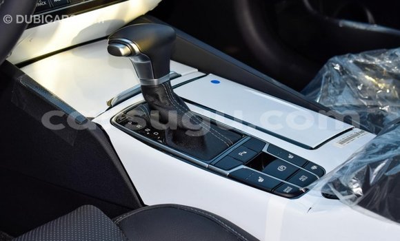 Acheter Import Voiture Kia Cadenza Other à Import - Dubai, Burkina-Faso Acheter Import Voiture Kia Cadenza Other à Import - Dubai, Burkina-Faso