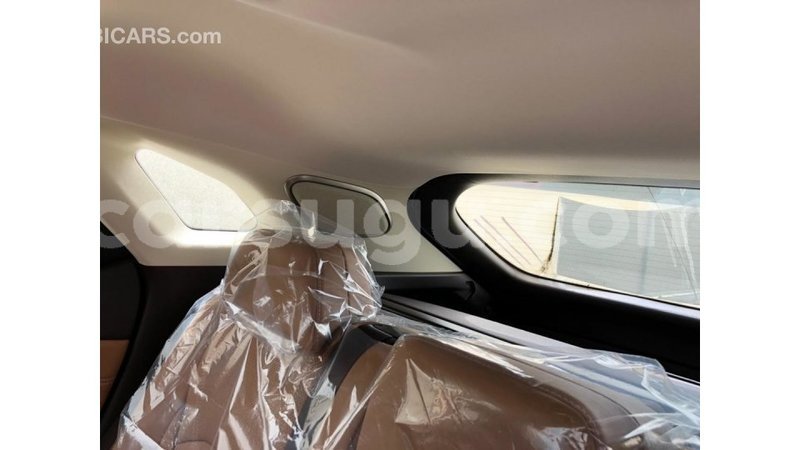 Big with watermark 2fe11539 5b96 47b3 a264 97b73e5e50be