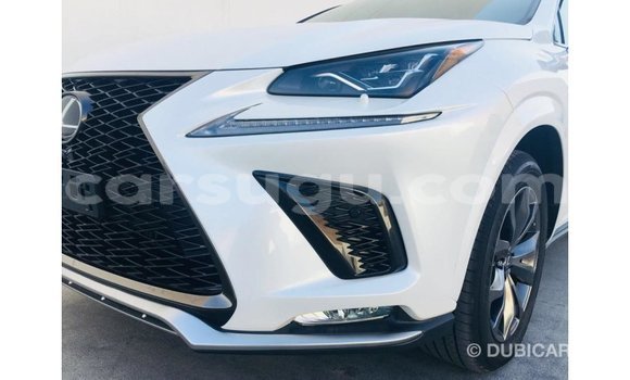 Buy Import Lexus NX Other Car in Import - Dubai in Burkina Faso Buy Import Lexus NX Other Car in Import - Dubai in Burkina Faso