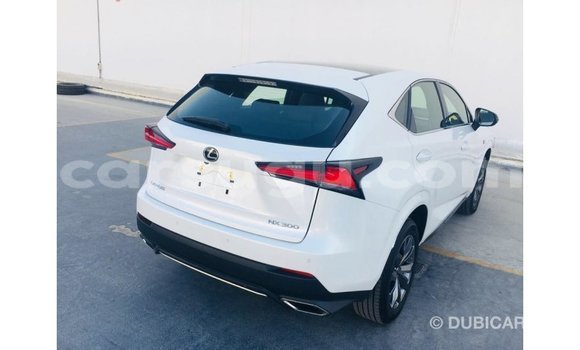 Buy Import Lexus NX Other Car in Import - Dubai in Burkina Faso Buy Import Lexus NX Other Car in Import - Dubai in Burkina Faso