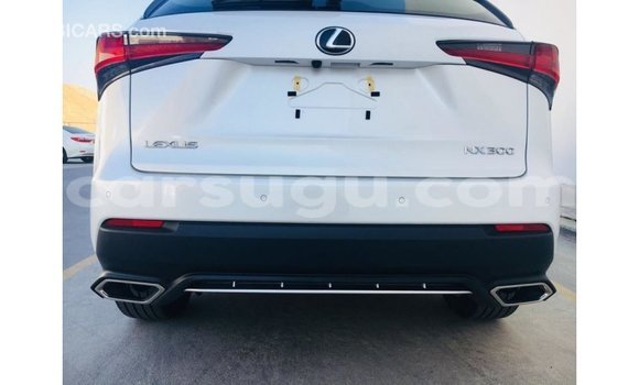 Buy Import Lexus NX Other Car in Import - Dubai in Burkina Faso Buy Import Lexus NX Other Car in Import - Dubai in Burkina Faso