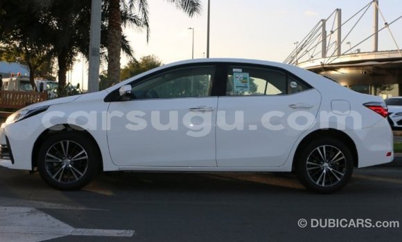 Buy Import Toyota Corolla Other Car in Import - Dubai in Burkina Faso Buy Import Toyota Corolla Other Car in Import - Dubai in Burkina Faso