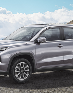 Thumb vitara